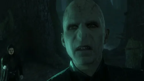 Vista 8 de Harry Potter and The Deathly Hallows Part 2 - Playstation 3