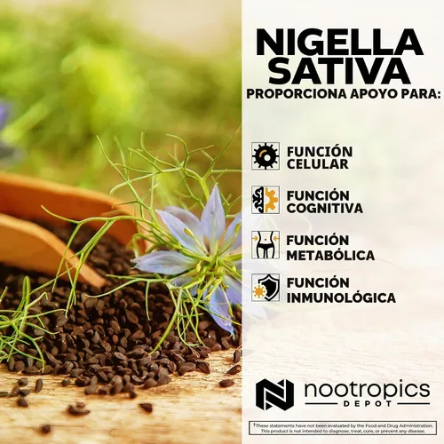 Vista 4 de Nootropics Depot Cápsulas de extracto de Nigella Sativa 200 mg 60 unidades Contenido mínimo del 5% de timoquinona Extracto de aceite