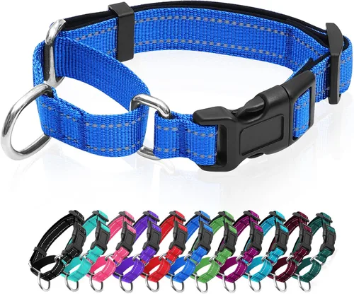 Vista 18 de Collares de perro Martingale reflectantes. Collar de perro con hebilla de liberación rápida. Collar de mascota de nylon ajustable, suave, acolchado