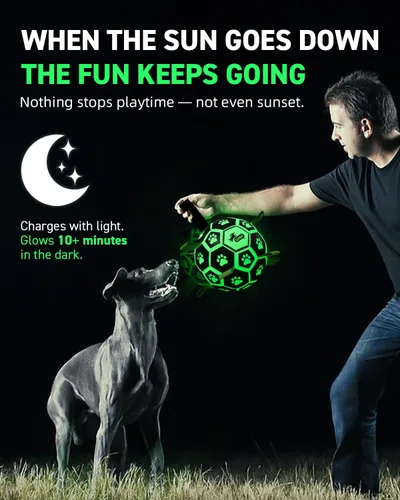 Vista 5 de QDAN Juguetes prémium para perros que brillan en la oscuridad, pelota de perro con correas, pelota de fútbol para perros, juguetes para perros al
