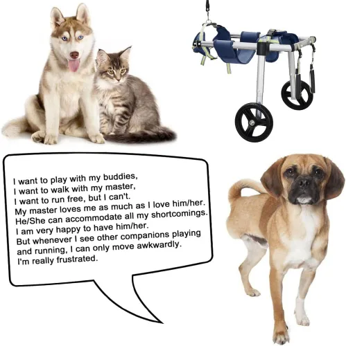 Vista 7 de Wheels - Silla de ruedas para perro, silla de ruedas para patas traseras, carrito ajustable para perro, sillas de ruedas para mascotas/perros