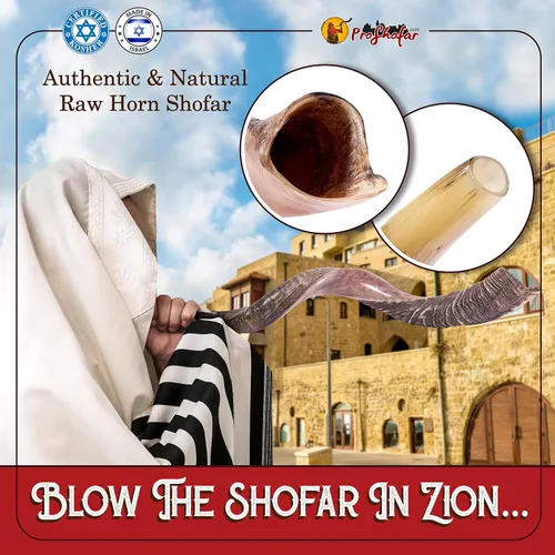 Vista 4 de Juego de Shofar Kudu medio pulido Kosher de Israel, más bolsa, certificado oficialmente firmado, cuerno de Shofar Kosher hecho en Israel