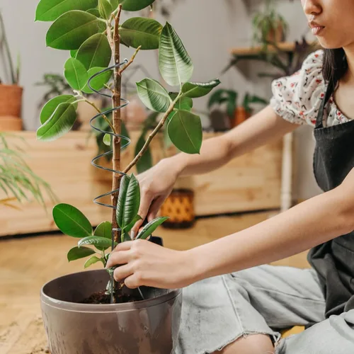 Vista 7 de Estacas para plantas decorativas, 6 unidades, marco de jaula de pila, soporte de jardín, soporte de flores, palillos de flores en espiral
