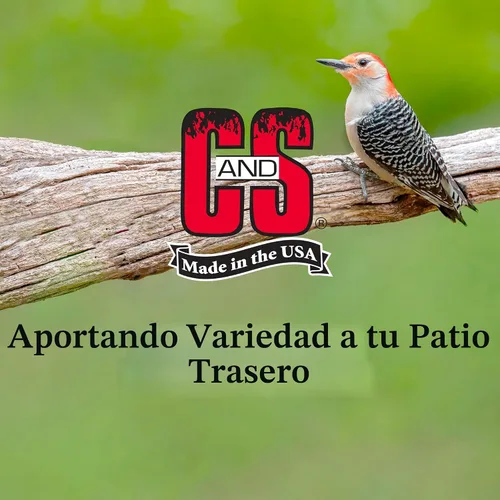 Vista 7 de C&S Premio de sebo para pájaros carpinteros, comida para pájaros silvestres al aire libre para carpinteros, reyezuelos y más, paquete de 8