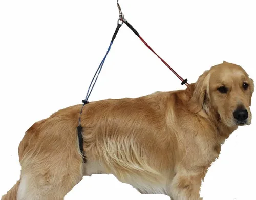 Vista 2 de No Sit Haunch Holder - Arnés de aseo para perros, correa para perros medianos, mascotas