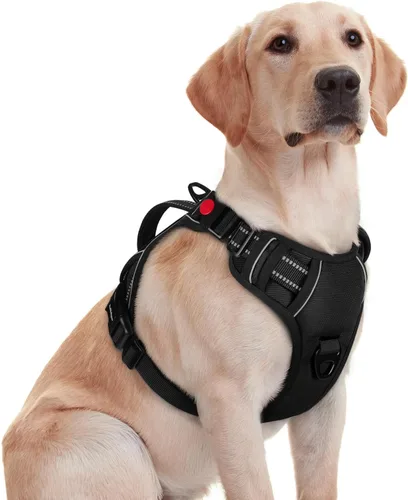 Vista 25 de rabbitgoo Arnés para perro de tamaño pequeño, arnés para mascotas sin tirones con mango acolchado suave, chaleco reflectante ajustable con 3