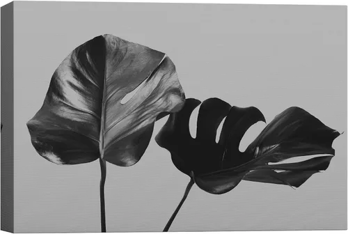 Vista 38 de SigNWIN - Lienzo decorativo para pared, diseño de hojas de monstera tropicales, fotografía realismo, diseño moderno en blanco y negro, para sala