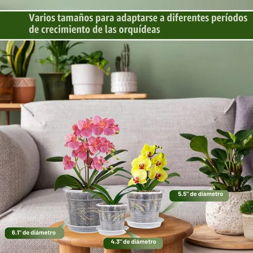 Vista 2 de Maceta de orquídeas con platillos, paquete de 6 macetas de orquídeas con agujeros, 2 macetas de plástico transparente de 4.3 pulgadas, 5.5 pulgadas