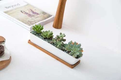 Vista 8 de Sea Star - Maceta moderna rectangular minimalista de cerámica blanca de 10 pulgadas para plantas suculentas para oficinas, escritorios, ventanas
