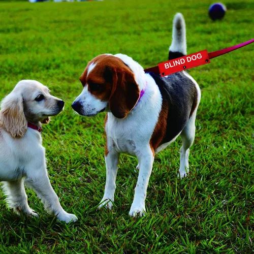 Vista 4 de Funda para perro ciego, correa para perro con discapacidad visual, etiqueta de parche de identificación de alerta, regalo de cumpleaños para mascotas