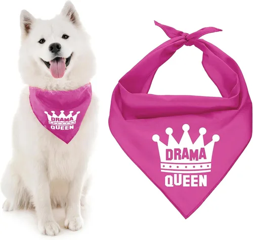 Vista 16 de Parisian Pet Bandanas naranjas para perros – Bandana ajustable para cachorros – Accesorios para perros para niños y niñas – Pañuelo para perros Best