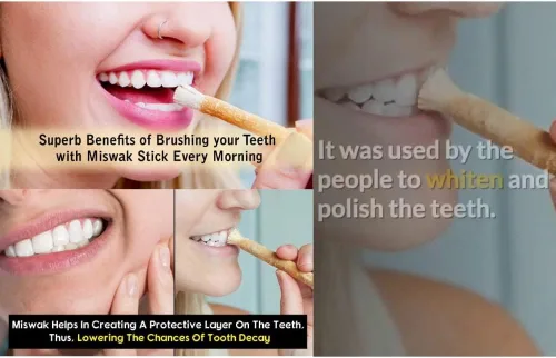 Vista 4 de Cepillo de dientes tradicional natural Miswak (sewak) Peelu Masticar Stick para dientes más blancos (3)