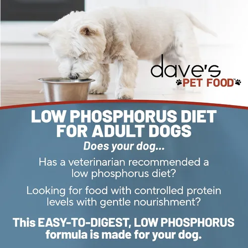 Vista 4 de Dave's Pet Food Soporte renal para perros (estofado de pollo y verduras) – Alimento enlatado húmedo bajo en fósforo y bajo en proteínas