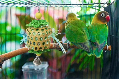 Vista 4 de Juguetes para pájaros para periquitos Conures, accesorios de jaula de pájaros, juguetes de forraje para jaula BellBall