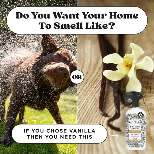 Vista 9 de Pet-Pourri Pet Odor Air + Spray eliminador de olores de tela, coco canino, 16 onzas líquidas