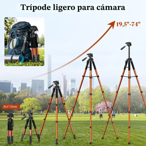 Vista 3 de JOILCAN Trípodes para cámara, trípode de 74 pulgadas para cámara, teléfono celular, video, fotografía, soporte de trípode para cámaras altas