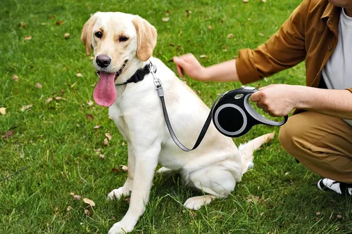 Vista 7 de Correa retráctil para perro, correa de perro de 26 pies para perros pequeños a grandes de hasta 110 libras, diseño resistente con mango