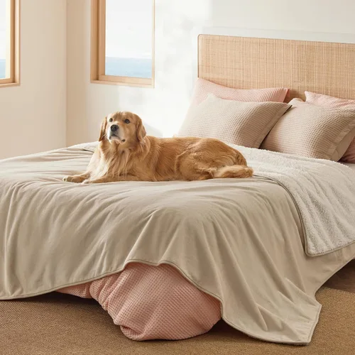 Vista 46 de Bedsure - Mantas impermeables para perros pequeños - Manta de felpa de sherpa con impresión suave lavable para perros y gatos, protector de muebles