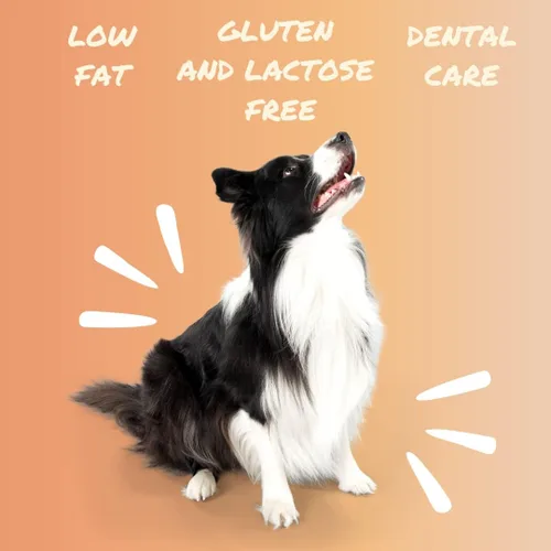 Vista 3 de Golosinas para perros, de larga duración, altas en proteínas, sin lactosa, masticables de queso 100% naturales, sabores de salmón, pollo