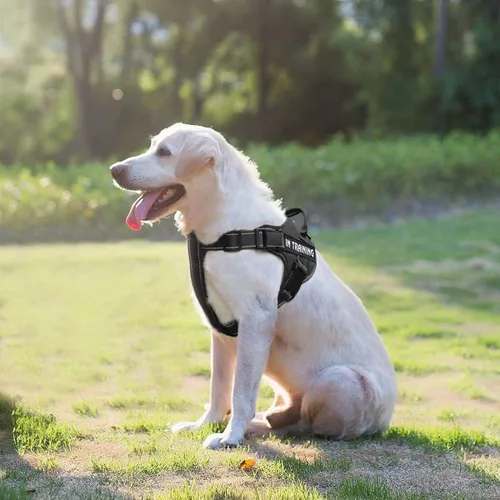Vista 3 de Arnés para perro con nombre personalizado con parche personalizado, chaleco para mascotas sin tirones, fácil control para entrenamiento de caminatas