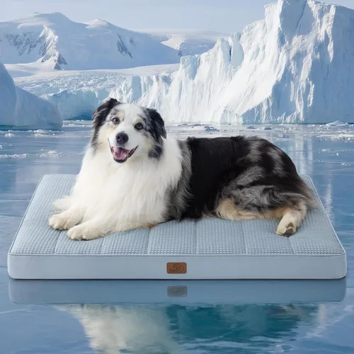 Vista 35 de Bedsure - Cama ortopédica pequeña para perros chicos, impermeable, con funda extraíble lavable, tapete de espuma con forma de huevera para mascotas