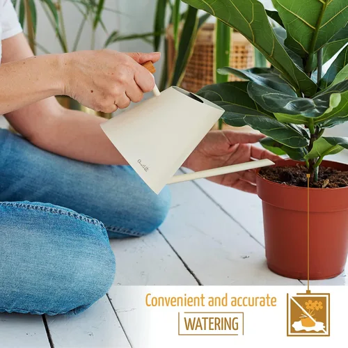 Vista 5 de AnaVeRa Regadera para plantas de interior, pequeña lata de agua de acero inoxidable con boquilla larga recta, regadera con mango de madera para casa