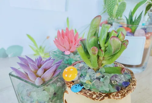 Vista 4 de ZHIYUXI Relleno de florero de fluorita de cristal, 0.22 libras, chips curativos pulidos para decoración, grava para pecera, plantas suculentas