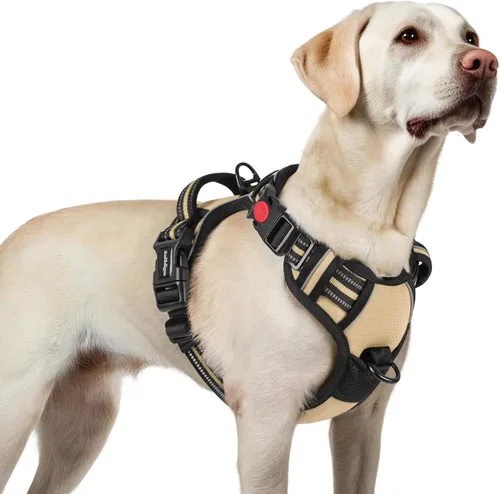 Vista 54 de Rabbitgoo - Arnés para perro de tamaño pequeño, arnés para mascotas sin tirones con 3 hebillas, chaleco acolchado suave ajustable con mango