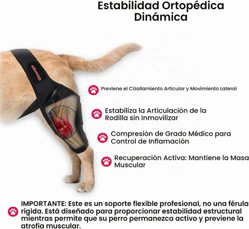 Vista 8 de Rodillera para perro para pierna trasera, pierna trasera desgarrada de ACL, rodilleras para perro para pierna trasera, soporte para pierna trasera