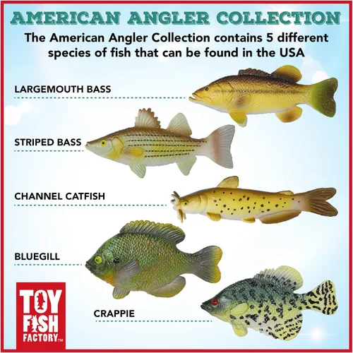 Vista 3 de Toy Fish Factory American Angler Collection - Juego de peces de juguete, figuras de peces de juguete, pez gato de lobina grande, juguete educativo