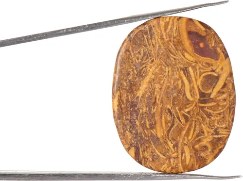 Vista 2 de GEMHUB Natural Mookaite Jasper 23.4 CT. Oval Cabochon Healing Crystal Reiki Chakra Loose Gemstone