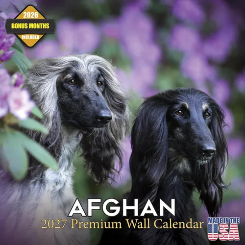 Vista 186 de Calendario de Lebrel Afgano 2025 2026, calendario mensual de pared de raza canina, 12" x 18" abierto, papel grueso sin traspaso, ideal para regalo