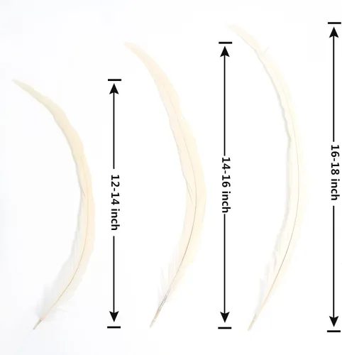 Vista 3 de THARAHT 50 Plumas de Cola de Gallo Naturales de 12-14 Pulgadas (30-35 cm) a Granel para Manualidades, Atadura de Moscas, Boda, Plumas para Fiestas