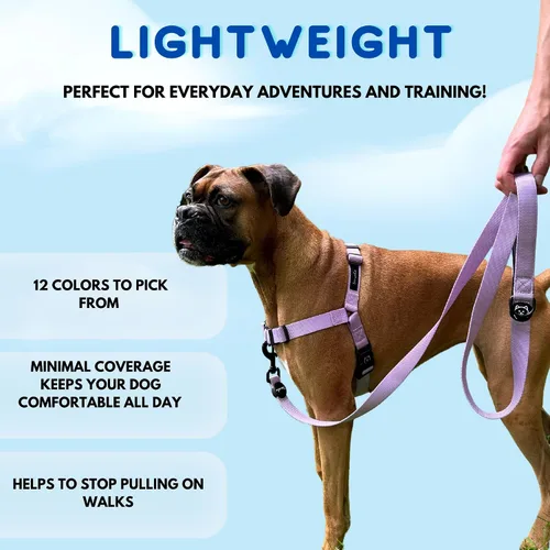 Vista 5 de ShawnCo Dream Walk Arnés para Perros Sin Tirones - Ajustable, Cómodo, Fácil de Usar, Cabestro para Mascotas para Ayudar a Detener los Tirones