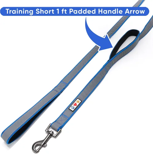 Vista 5 de Pawtitas Correa de perro de doble asa resistente para entrenamiento, correas sin tirones, ideal para perros medianos y grandes, ideal para caminar