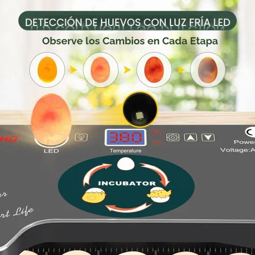 Vista 2 de Incubadora de 12 huevos, girador automático de huevos, control de temperatura, vela incorporada, recarga automática de agua para incubar huevos