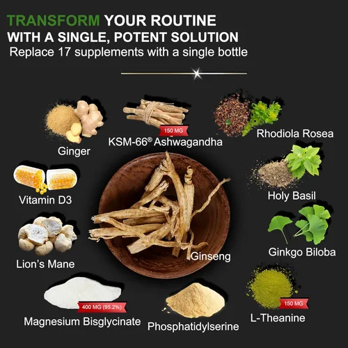 Vista 3 de DLNIA Suplemento Super Calmante de Cortisol con Glicinato de Magnesio, Ashwagandha KSM-66, L-Teanina, Fosfatidilcolina, Ginkgo Biloba y Seta de León