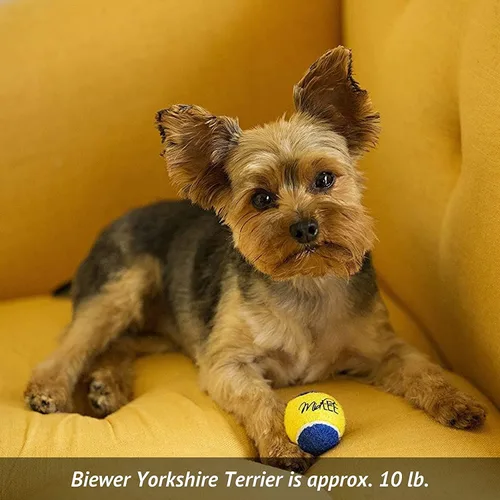 Vista 4 de Midlee Pelotas de tenis para perros XS, 1.5 pulgadas, azul/amarillo, paquete de 12