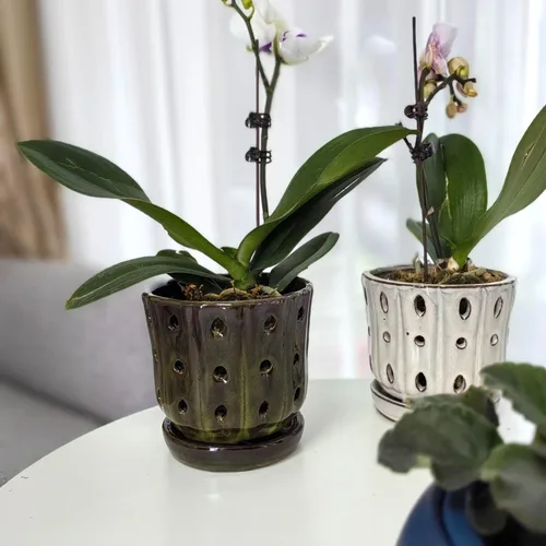 Vista 8 de Macetas de orquídeas azules de 6 pulgadas + macetas de orquídeas de 4.9 pulgadas con agujeros, color blanco y verde, juego de 3