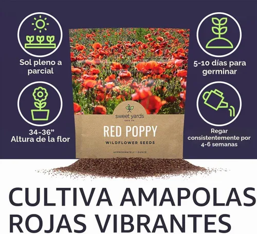 Vista 6 de Semillas de amapola roja - Paquete grande de 1 onza - Más de 200,000 semillas de flores