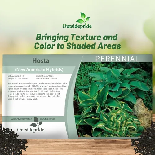 Vista 5 de Outsidepride Hosta American Seeds - 50 unidades. Perenne, fácil de cultivar y de bajo mantenimiento, semillas de flores para plantar follaje mixto