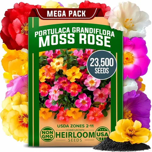 Vista 65 de HOME GROWN Semillas de zinnia rosa – 300 zinnias Luminosa 0.5g, semillas anuales de flores fáciles de cultivar para plantar al aire libre para 2026
