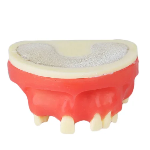 Vista 4 de Modelo de implante maxilar rojo dental con modelo de educación modelo de práctica de silicona suave