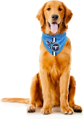 Vista 12 de Bandana de la NFL Team Dog, Rojo, S Arizona Cardinals