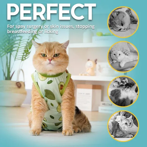 Vista 4 de Avont Traje de recuperación para gatos – Mameluco de gatito para gatos después de la cirugía, traje quirúrgico de esterilización alternativo al cono