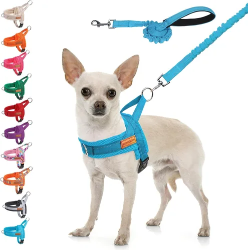Vista 22 de BEAUTYZOO Arnés para Perros Pequeños, Juego de Arnés y Correa sin Tirones, Arnés de Pecho para Cachorros a Prueba de Escapes con Mango, Arnés Beige