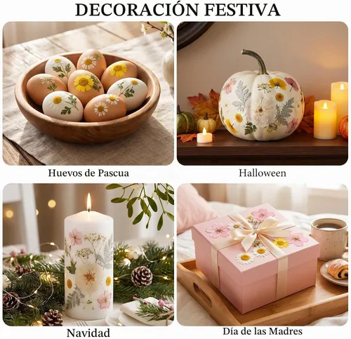 Vista 7 de NESCCI 83 piezas de flores secas para manualidades, flores prensadas secas