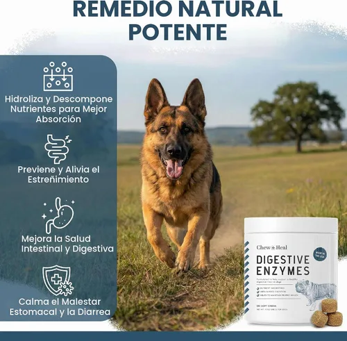 Vista 3 de Probióticos para perros con enzimas digestivas - 120 masticables suaves - Apoya el tracto digestivo saludable, ayuda a la absorción de nutrientes