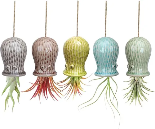 Vista 9 de Paquete de 4 soportes únicos para plantas de aire, lindo soporte de pared para plantas de aire de piña, soportes de cerámica Tillandsia para plantas