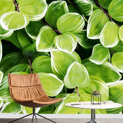 Vista 30 de wall26 serie Wall Mural Papel de empapelar autoadhesivo, grande., WMR-WP-X-D986-66x24x4